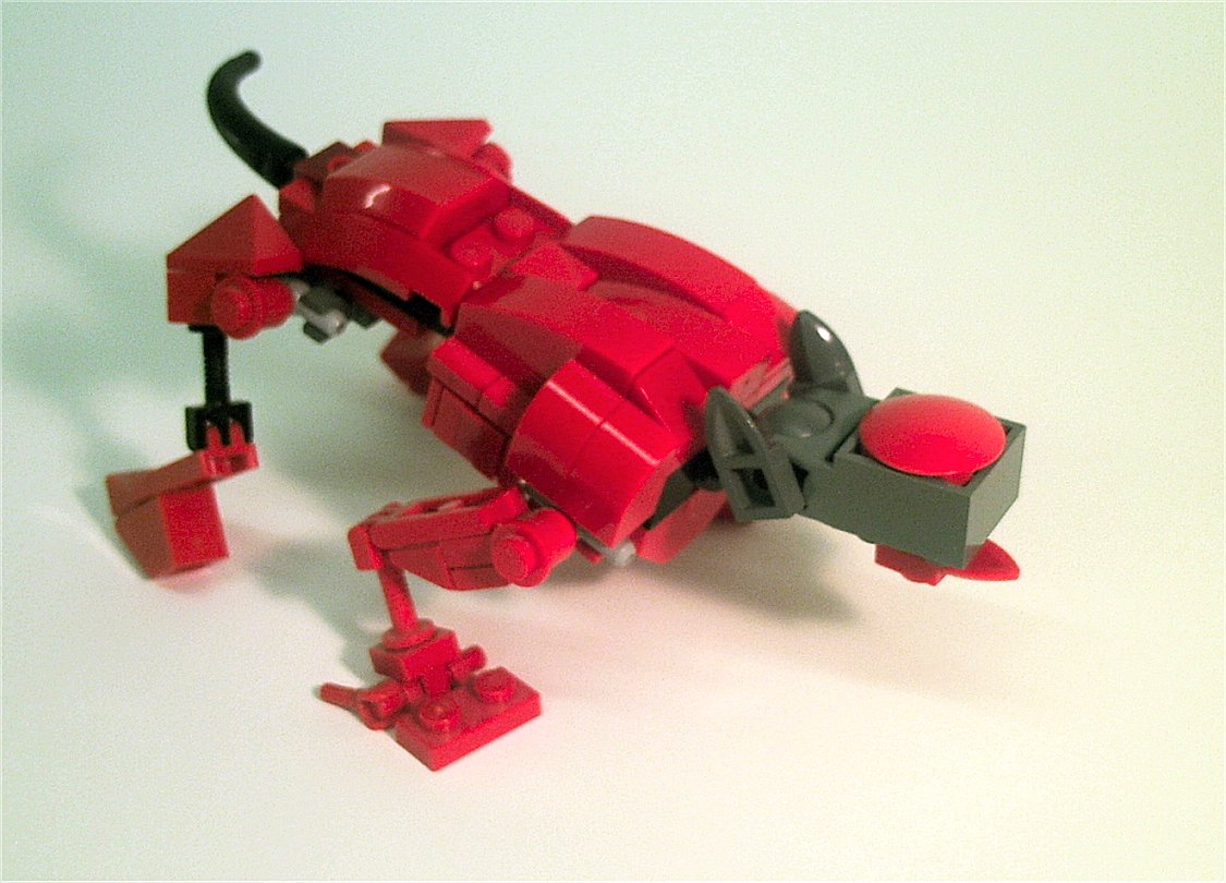 robodog05.jpg
