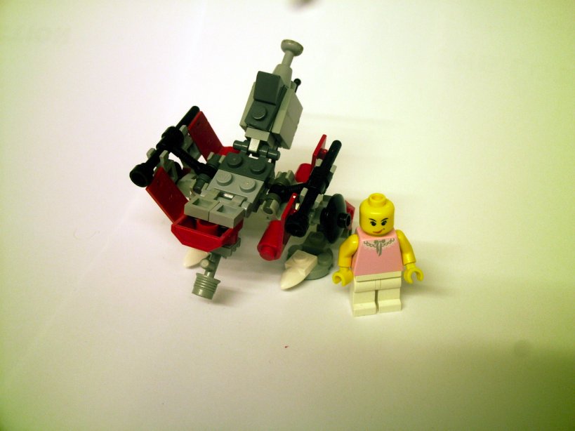 walker06.jpg