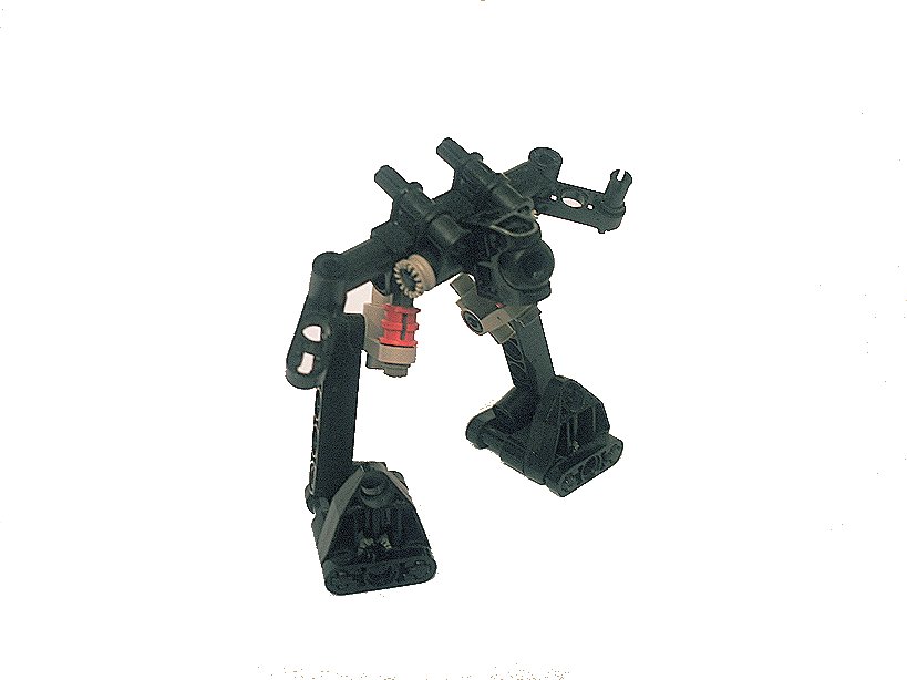 walker14.jpg