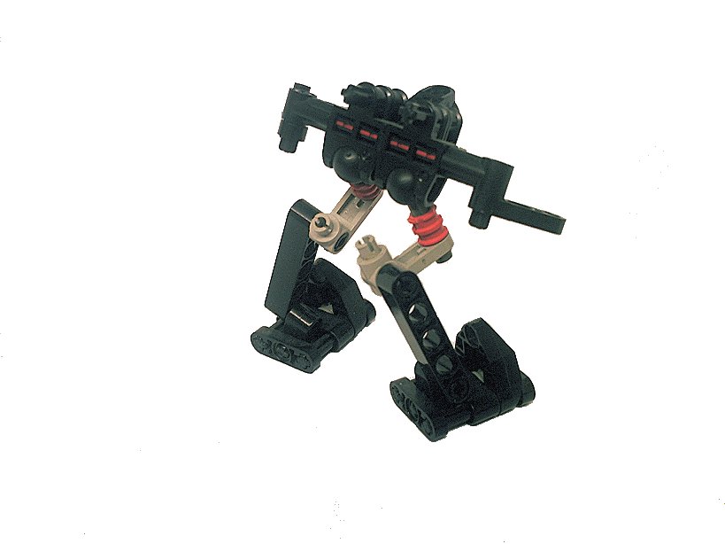 walker15.jpg