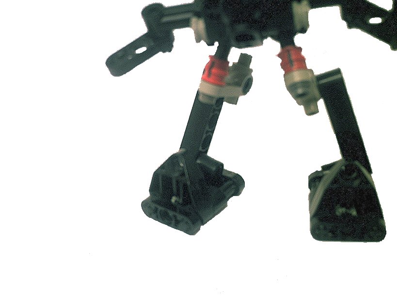 walker17.jpg