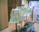 04tfdm013.jpg