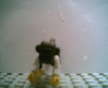 jack_the_monkey004.jpg