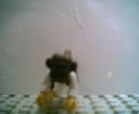 jack_the_monkey004.jpg