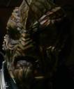 The-Xindi