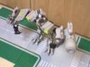 foto-0010.jpg