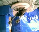 alkesh_attack009.jpg
