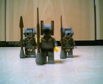 ras_guards001.jpg