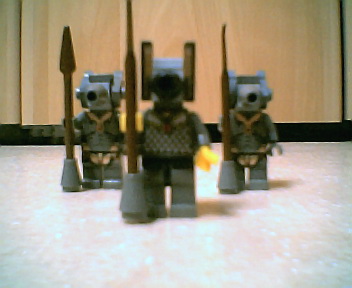 ras_guards002.jpg
