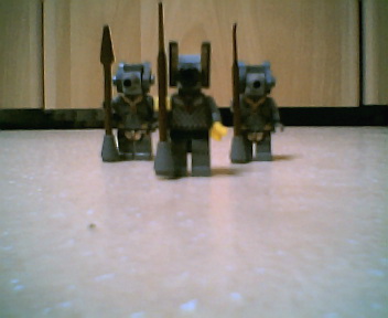 ras_guards003.jpg