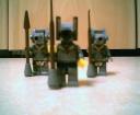 ras_guards002.jpg