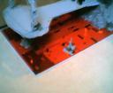 3009.jpg