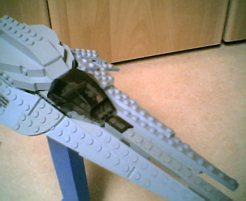 photoyg002.jpg