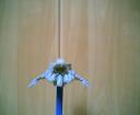 wraith_dart1008.jpg