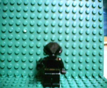 mini_fig002.jpg