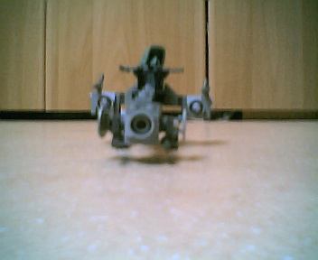 2010.jpg