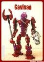 gavivan.jpg