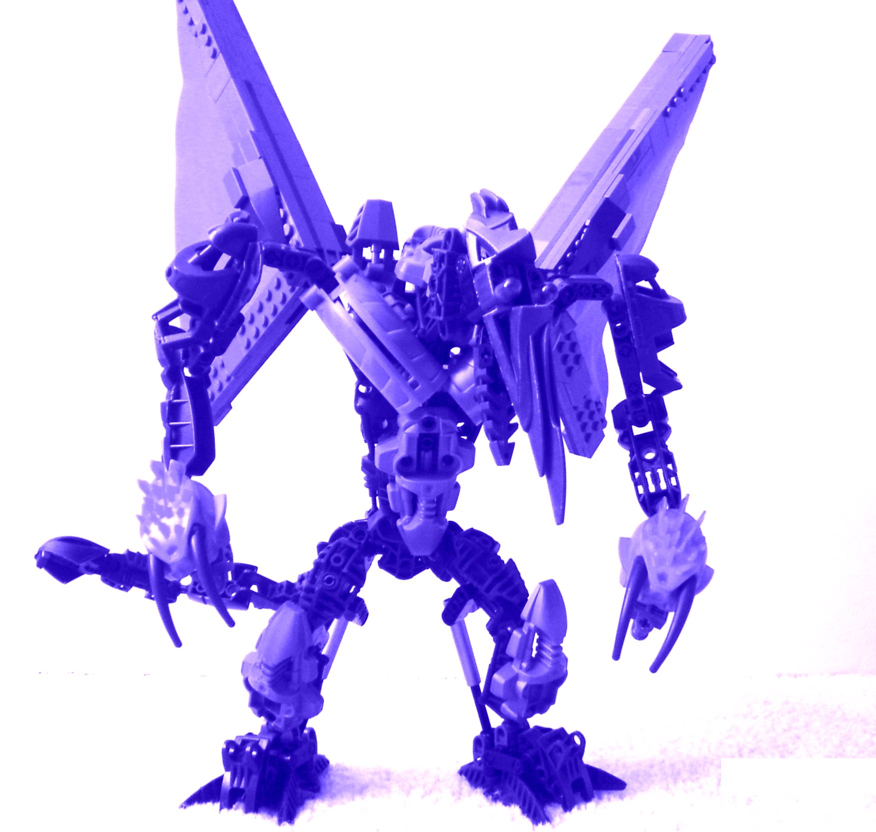 ridley_random_2.jpg