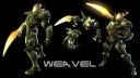 weavel_real.png