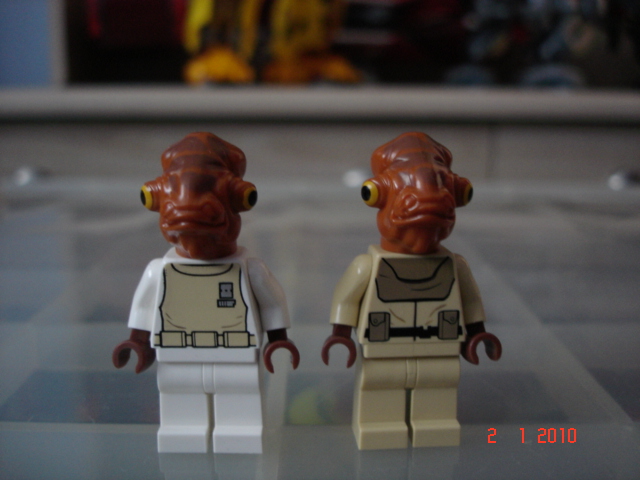 sw_013.jpg