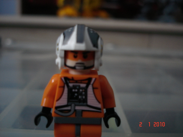 sw_003.jpg