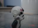 sw_005.jpg