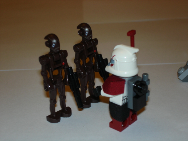 dsc06650.jpg