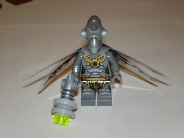 dsc06674.jpg