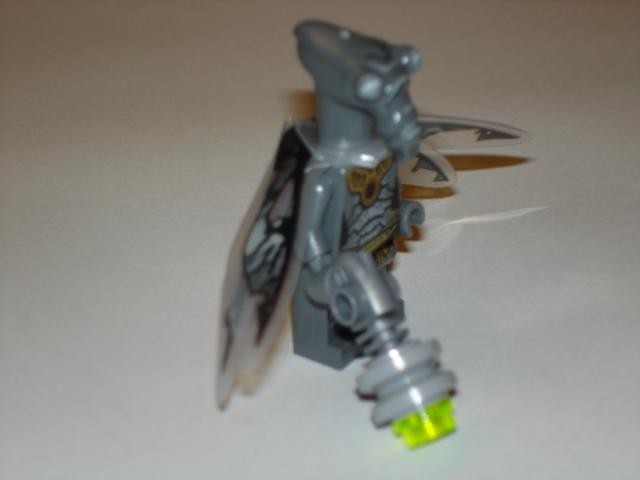 dsc06677.jpg
