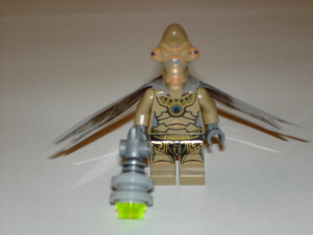 dsc06678.jpg