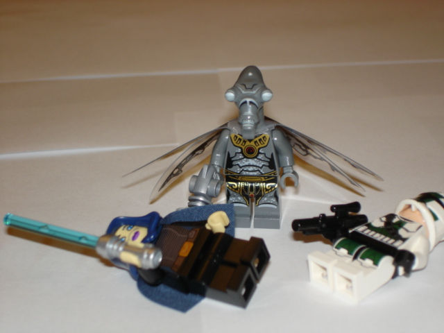 dsc06716.jpg