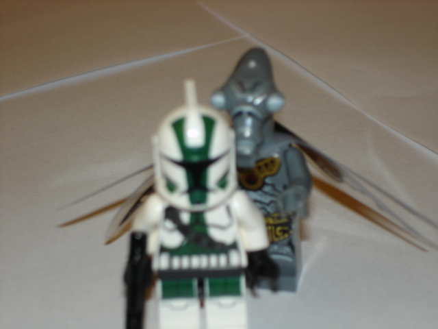 dsc06719.jpg