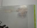 dsc06663.jpg