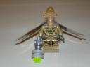 dsc06678.jpg