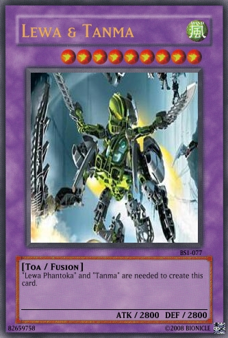 lewa_4.png