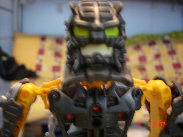 hewkii_head.jpg