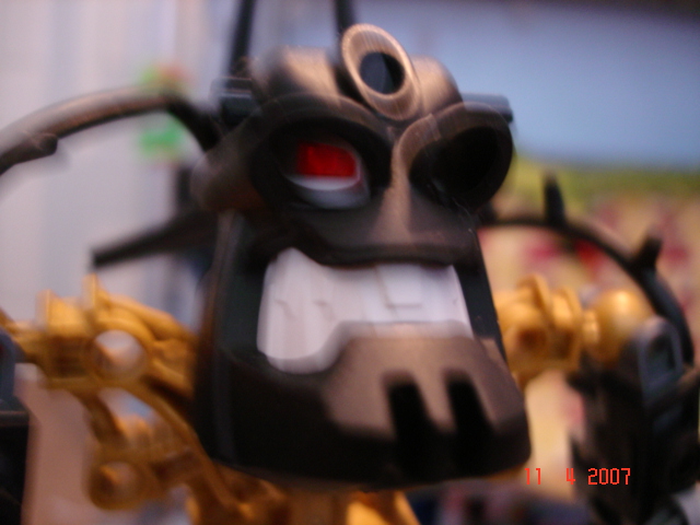 reidak_head.jpg