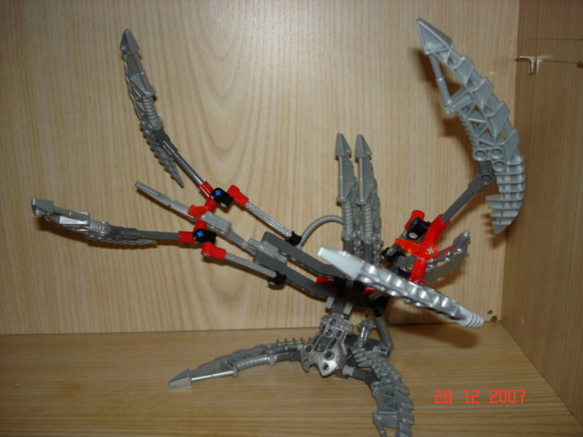 bio_011.jpg
