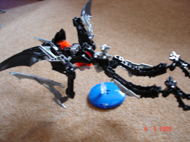 chirox_003.jpg