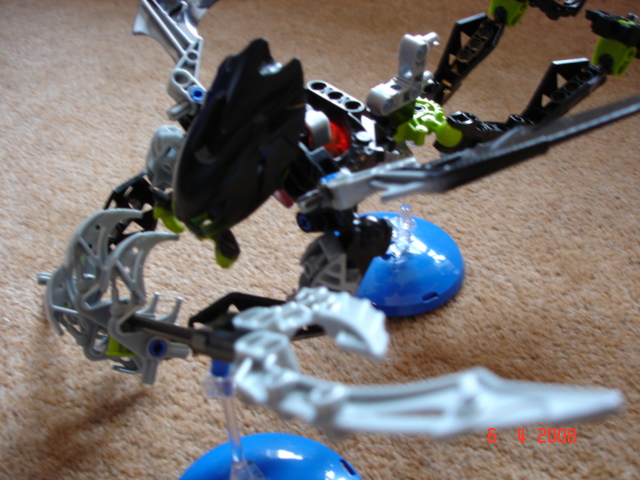 mutran_004.jpg