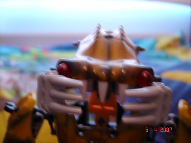 carapar_face.jpg