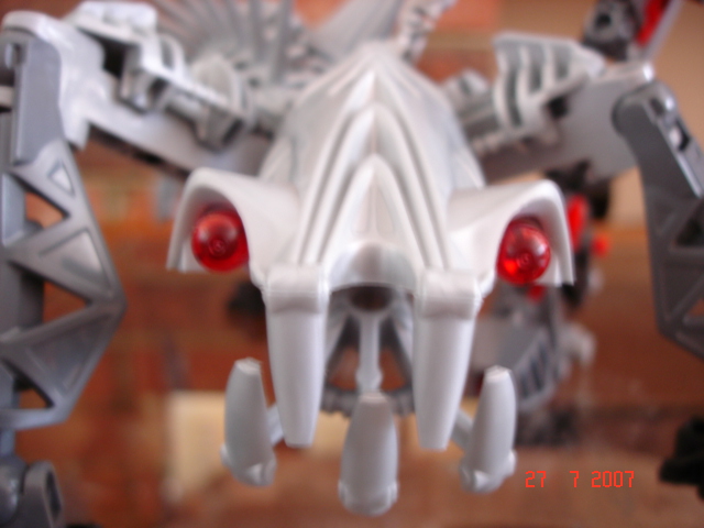 spinax_face.jpg