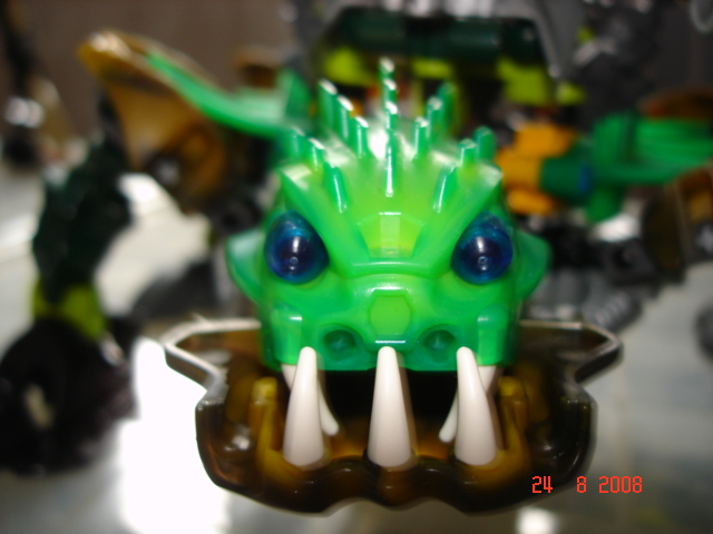 pitwartortoise_2.jpg