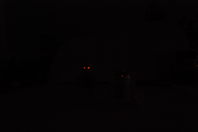 dsc_00640006.jpg