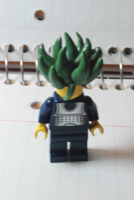 hair0001.jpg