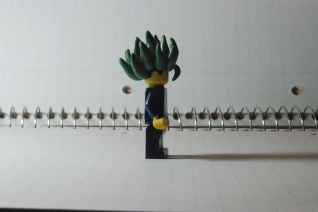 hair0001_1.jpg