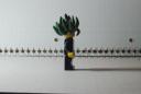 hair0001_1.jpg