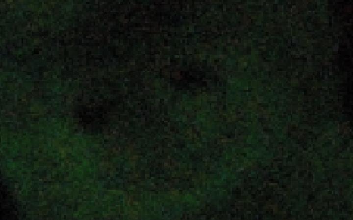untitled.jpg