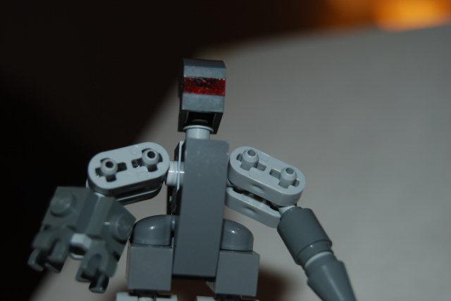 dsc_01040045.jpg