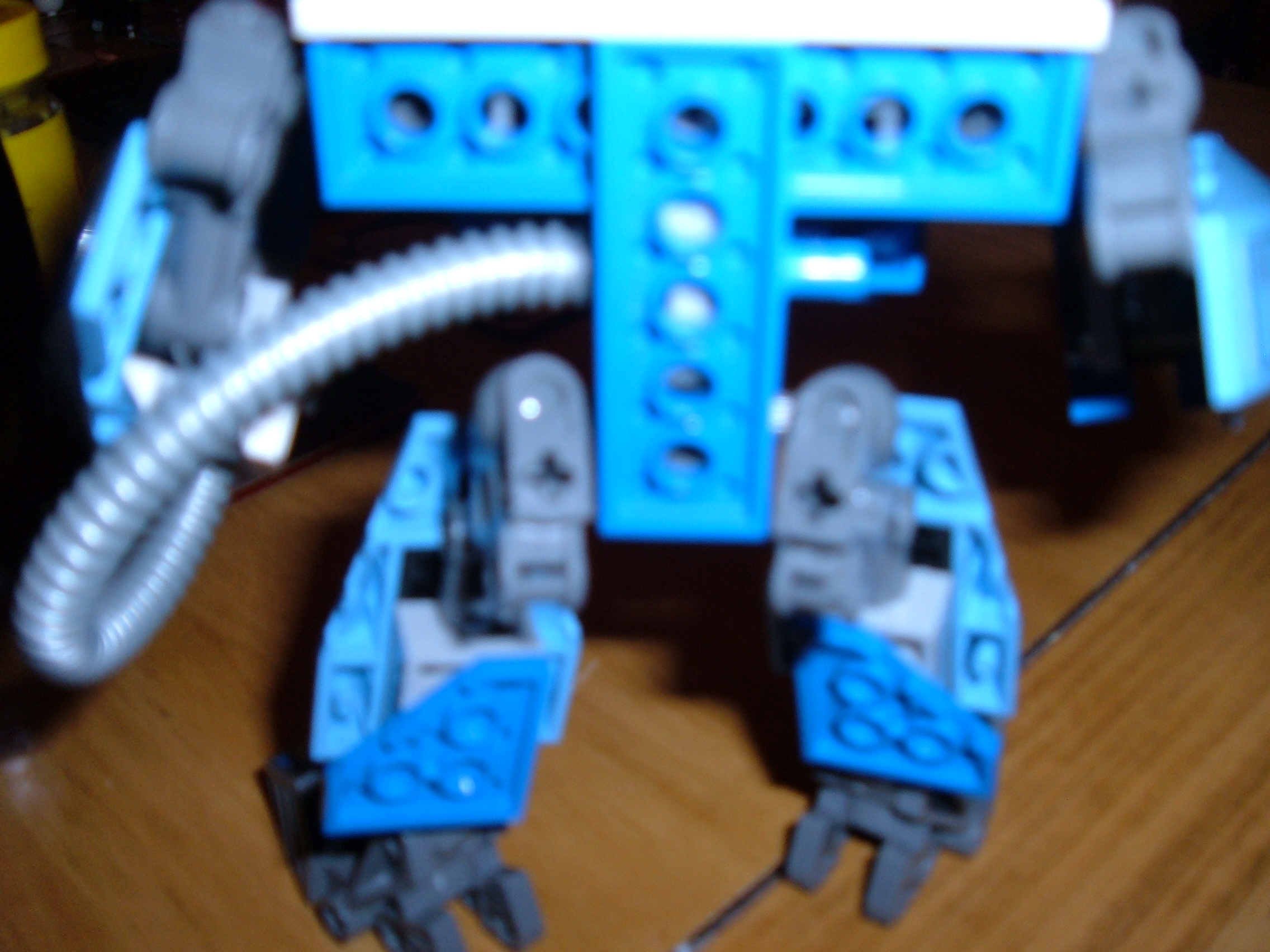 dscf0784.jpg